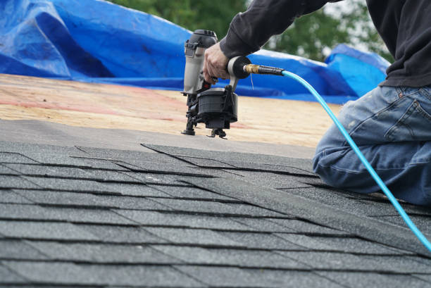 Best Roof Gutter Cleaning  in Dubuque, IA