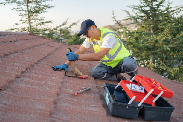 Professional Roofing Contractor in Dubuque, IA